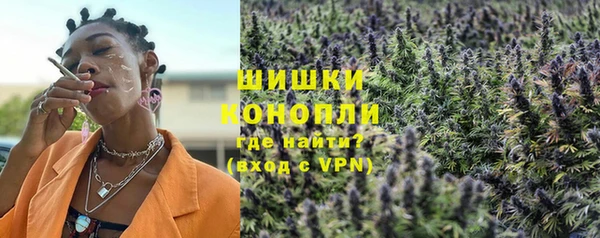 бошки Богданович