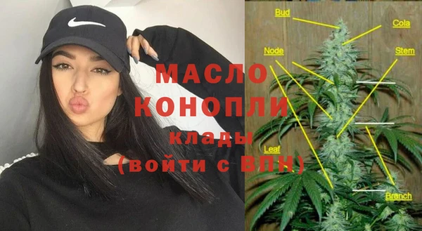 spice Богородицк