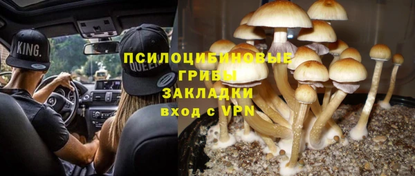 а пвп мука Богородск