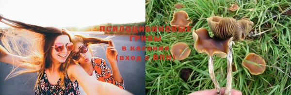 бошки Богданович