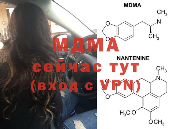 spice Богородицк