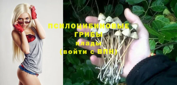 spice Богородицк