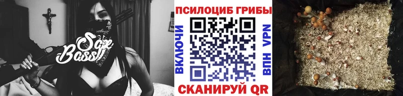 Псилоцибиновые грибы мухоморы Бугуруслан